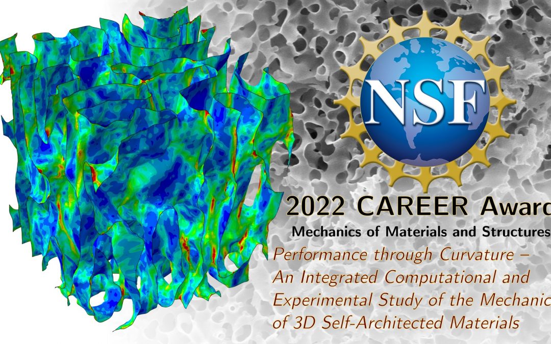 We receive the 2022 NSF CAREER Award!