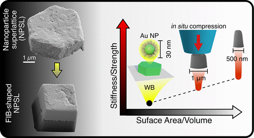 Tunable Mechanical Response of Self-Assembled Nanoparticle Superlattices